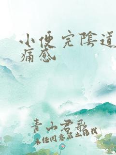 小便完阴道有刺痛感