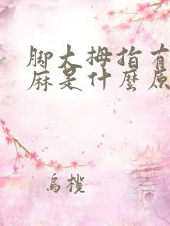 脚大拇指有点发麻是什么原因