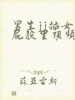 男生jj插女生屁股里视频