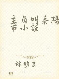 主角叫秦阳的都市小说