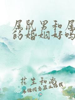 属鼠男和属牛女的婚姻好吗