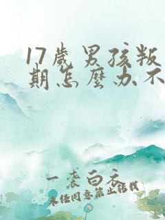 17岁男孩叛逆期怎么办不上学了