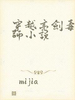 穿越亮剑毒士军师小说