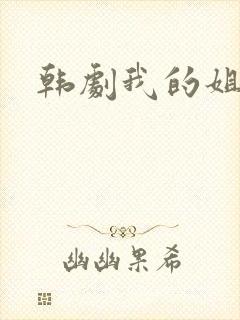韩剧我的姐夫