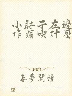 小肚子左边隐隐作痛吃什么药