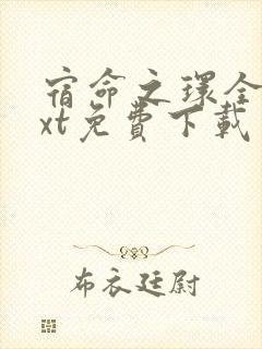 宿命之环全本txt免费下载