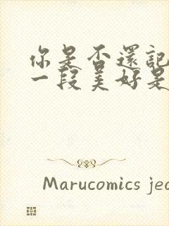 你是否还记得那一段美好是什么歌