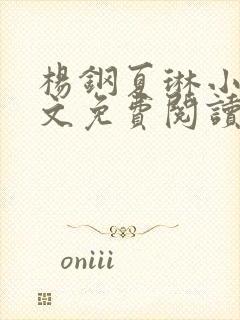 杨钢夏琳小说全文免费阅读最新章节