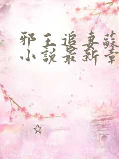 邪王追妻苏小暖小说最新章节阅读