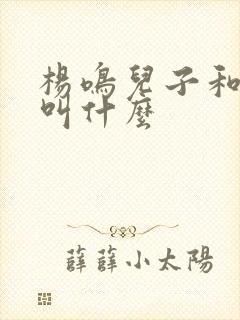 杨鸣儿子和女儿叫什么