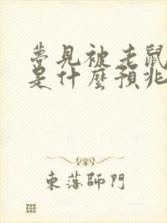 梦见被老鼠咬了是什么预兆周公解梦女人