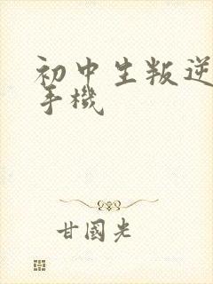 初中生叛逆沉迷手机