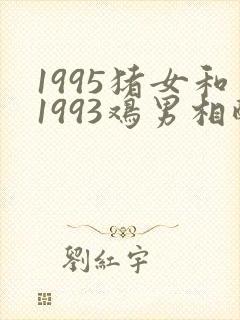 1995猪女和1993鸡男相配婚姻如何