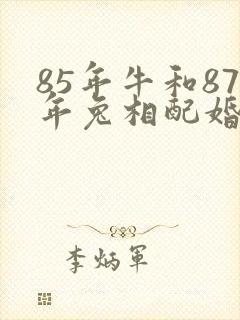 85年牛和87年兔相配婚姻如何