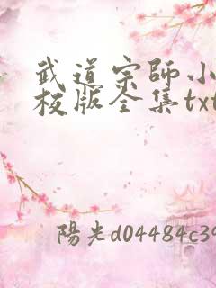 武道宗师小说精校版全集txt