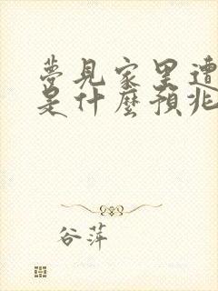 梦见家里遭抢劫是什么预兆