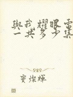 与我耀眼电视剧一共多少集