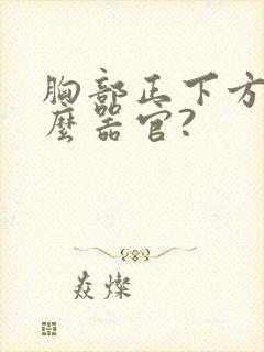 胸部正下方是什么器官?