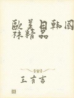 欧美日韩国产丝袜精品