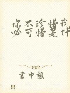 你不珍惜我又何必可惜是什么歌