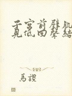 子宫前壁肌层可见低回声结节