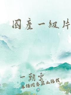 国产一级片伦理