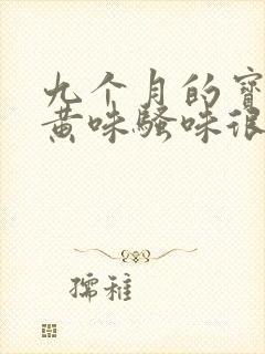 九个月的宝宝尿黄味骚味很重