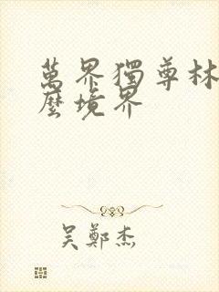 万界独尊林枫什么境界