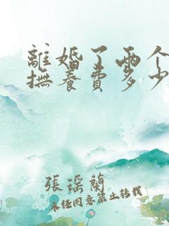 离婚了两个孩子抚养费多少钱一个月