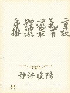 身体湿气重怎么排湿最有效什么中药健脾