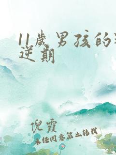 11岁男孩的叛逆期