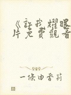 《许我耀眼》正片免费观看全集高清