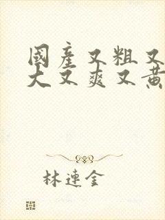 国产又粗又硬又大又爽又黄的免费视频