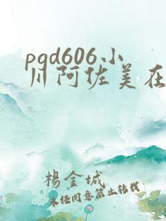 pgd606小川阿佐美在线播放