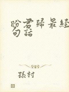 盼君归最经典十句话