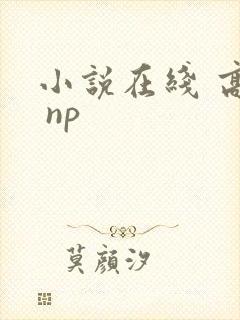 小说在线 高h np