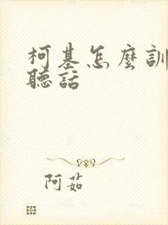 柯基怎么训练才听话