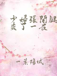 少妇张开腿让我爽了一夜