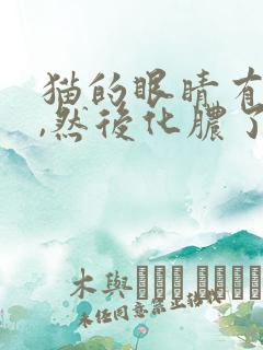 猫的眼睛有泪痕,然后化脓了怎么办