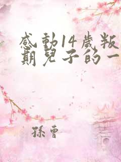 感动14岁叛逆期儿子的一封信范文