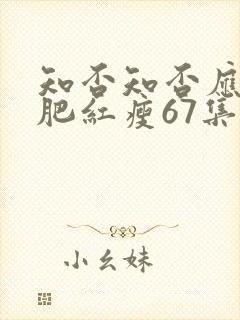 知否知否应是绿肥红瘦67集