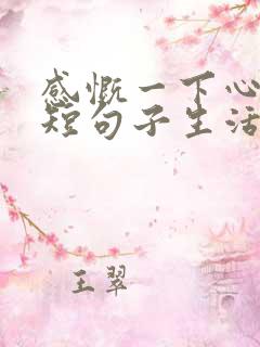 感慨一下心情的短句子生活