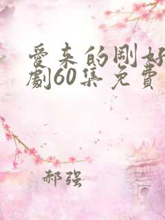 爱来的刚好电视剧60集免费观看