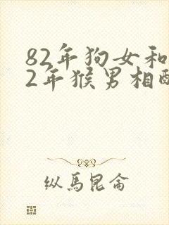 82年狗女和92年猴男相配婚姻如何