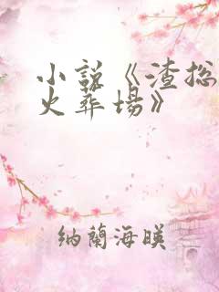 小说《渣总追妻火葬场》