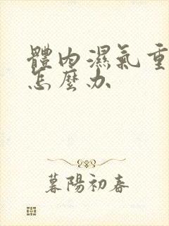 体内湿气重火大怎么办