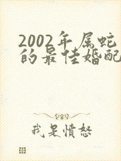 2002年属蛇的最佳婚配