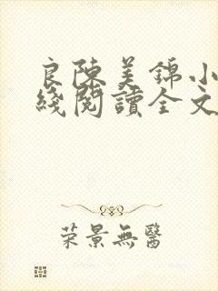 良陈美锦小说在线阅读全文