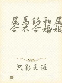 属马的和属羊的合不合婚姻