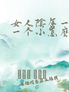 女人阴唇一个大一个小怎么回事